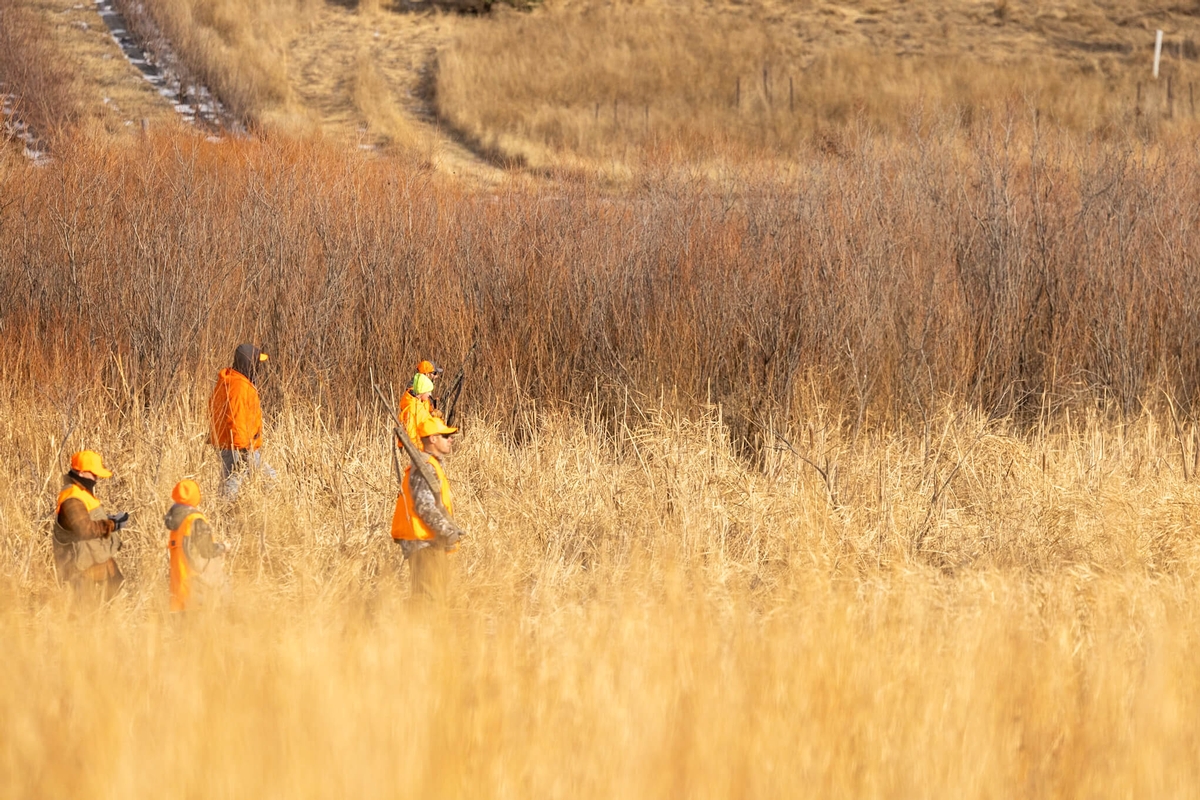 Packages and Inclusion Details